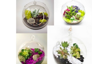 Plant Nite: Glass Hanging Globe-Make your own design